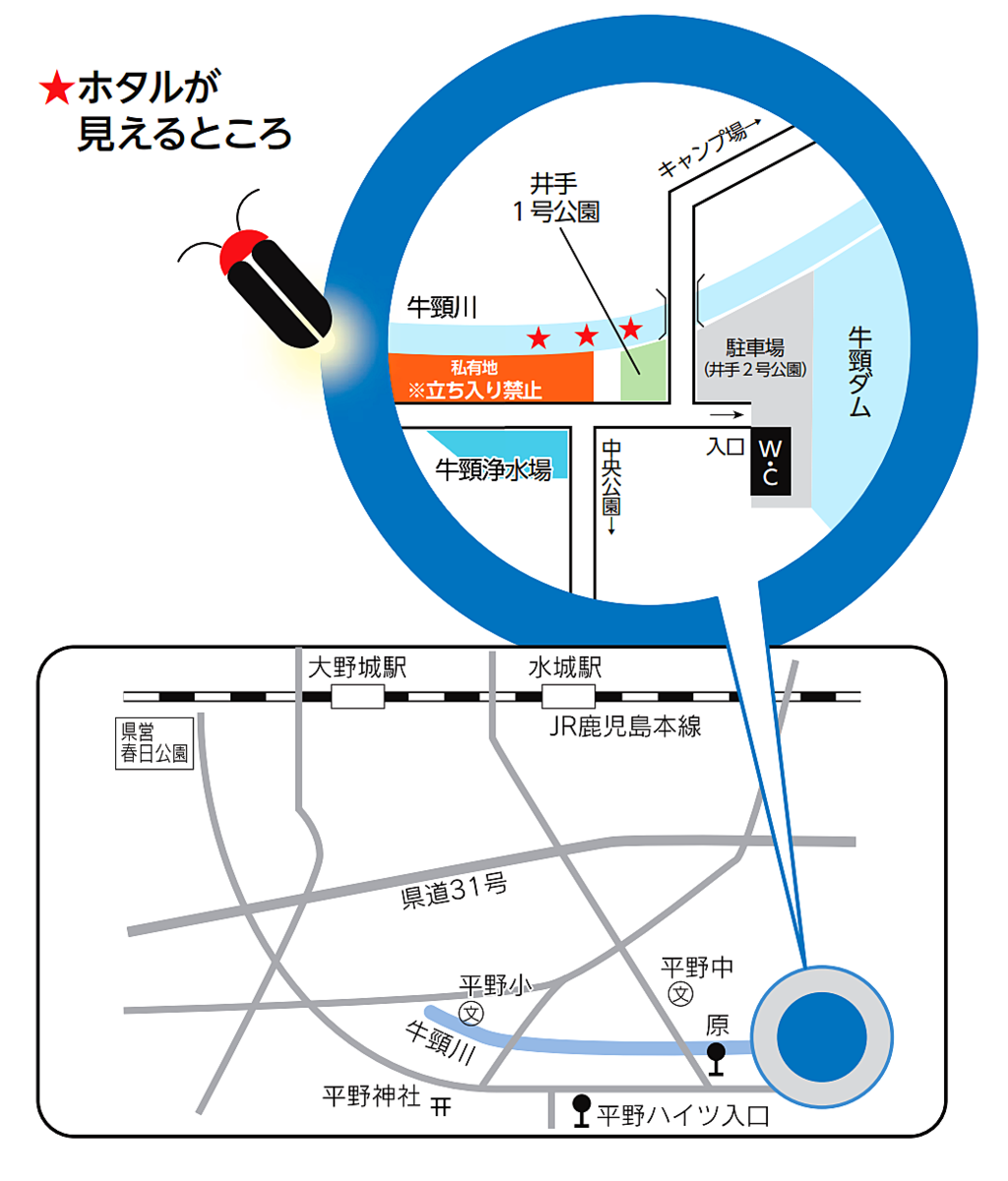 大野城市 ホタルが見えるところ