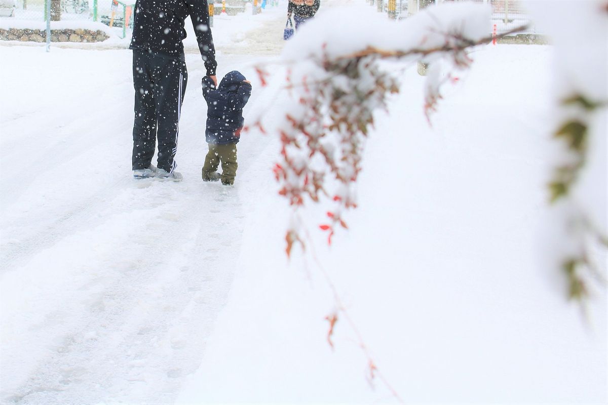 福岡市内での暴風雪・極端な低温及び大雪にご注意ください